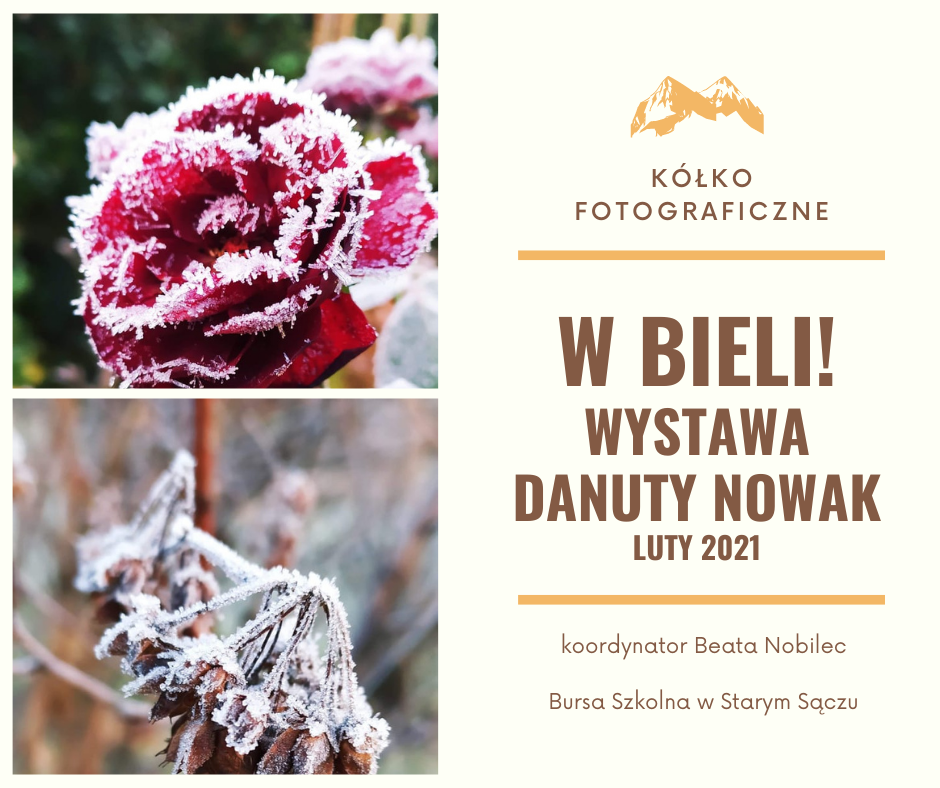 Wystawa fotograficzna pani Danuty Nowak " W bieli"